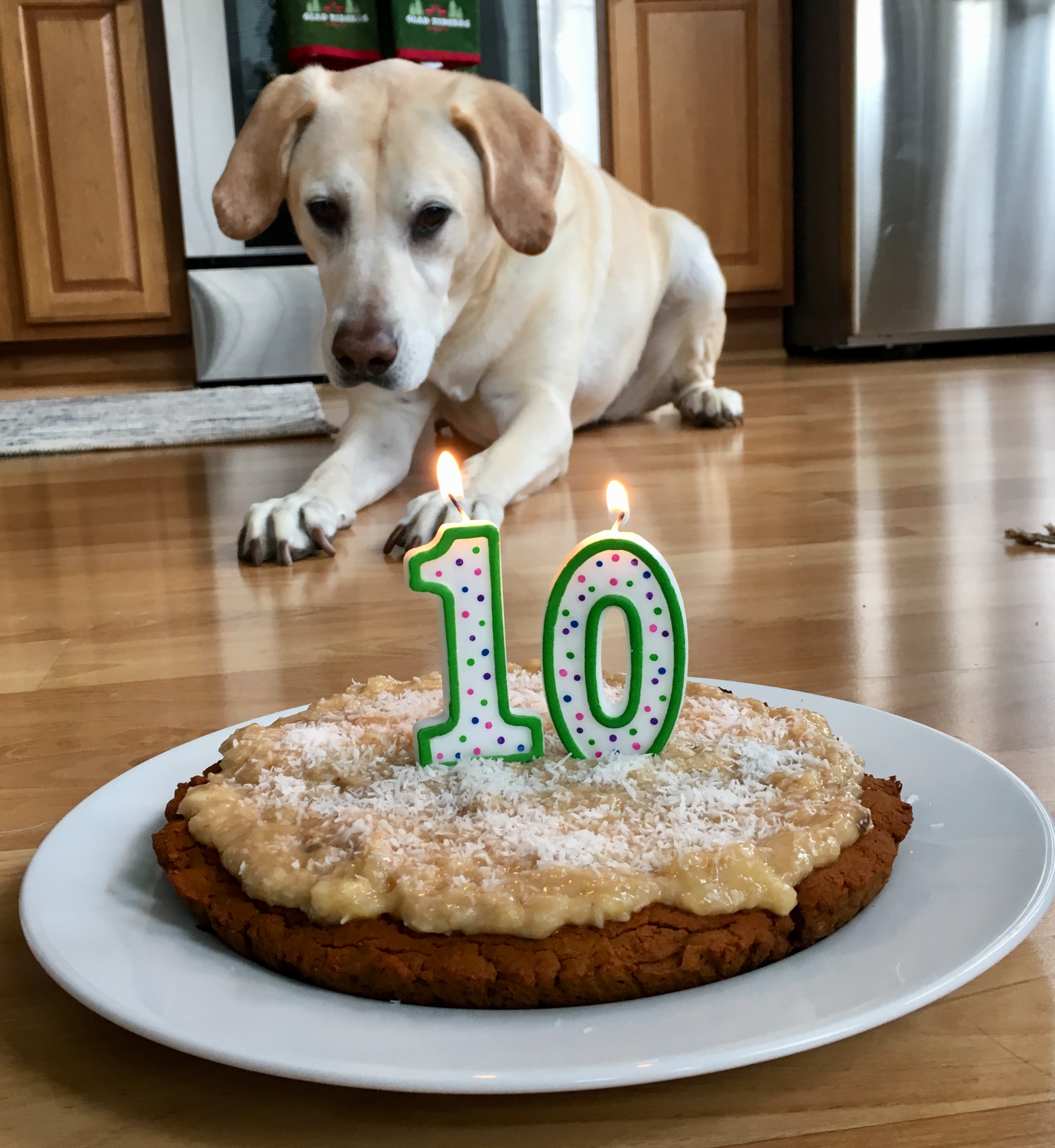 dog-birthday-cake-gf-the-sisters-kitchen