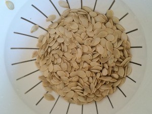 Pumpkin Seeds