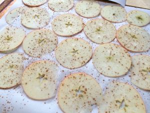 Cinnamon Apple Chips