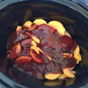 Chipotle Peach BBQ Chicken