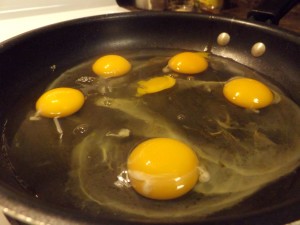 Eggs_eggs1.jpg