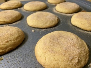 Snickerdoodle