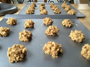 Oatmeal Cookies