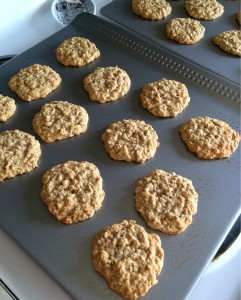 Oatmeal Cookies