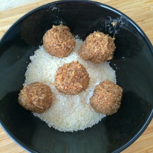 Coconut Protein Balls