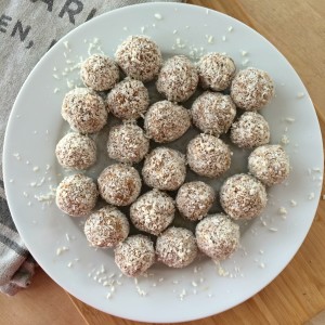 Coconut Protein Balls